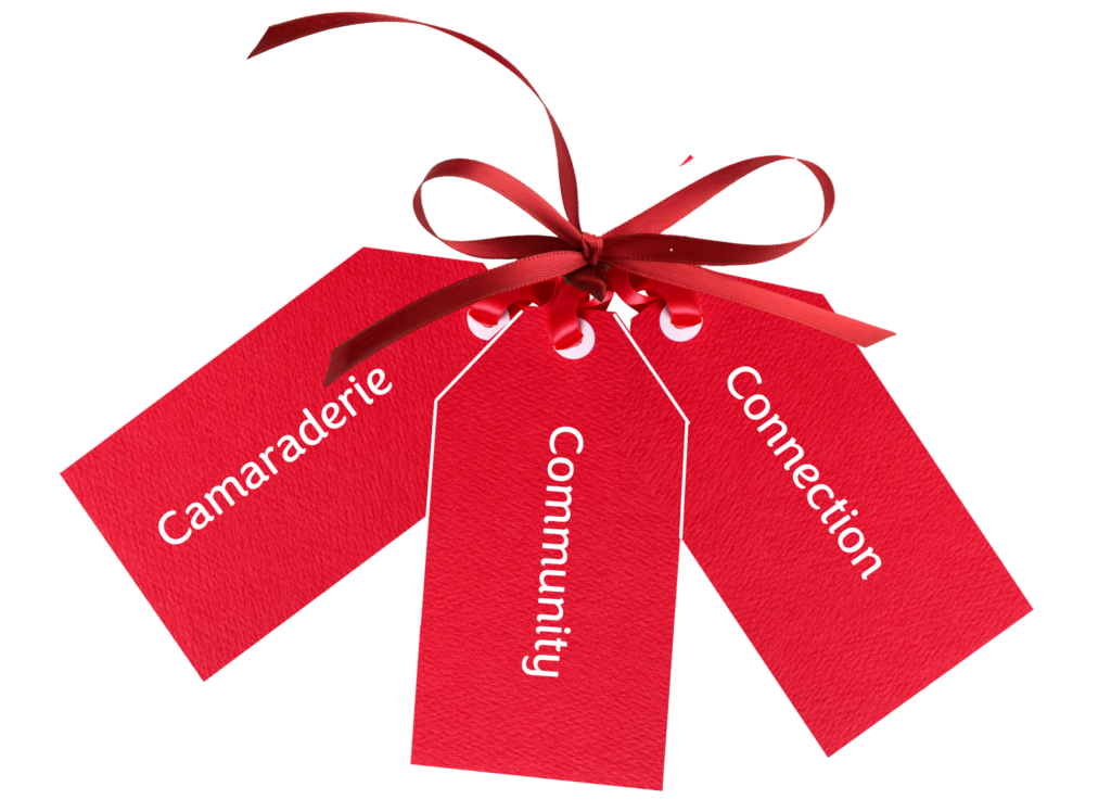 LifeRing Recovery Fundamentals Three red tags tied together with a red bow. Tags show LifeRing fundamentals: Camaraderie, Community, Connection