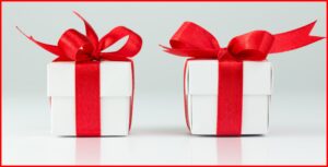 LifeRing Matching Gifts - LifeRing Secular Recovery 2 gifts side by side representing the LifeRing Matching Gift Challenge