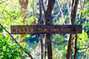 Weathered wooden sign reading 'CHOOSE YOUR OWN PATH' hanging between tree trunks in a sunlit forest.