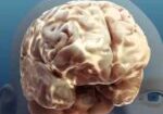 Video Alcohol and Your Brain